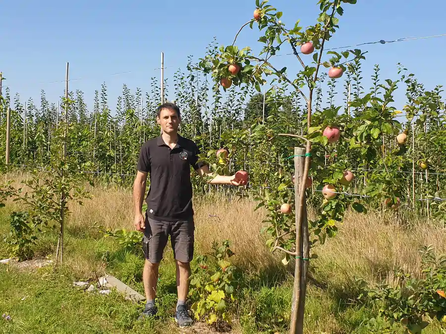 David Morin dans le Jardin de la Picterie